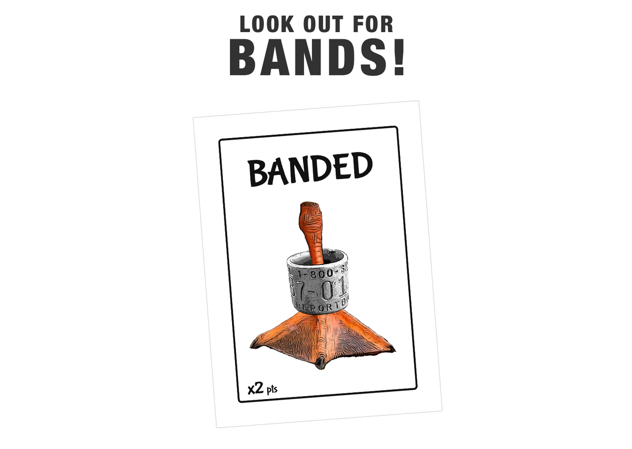 Duck Duck Boom Card Game