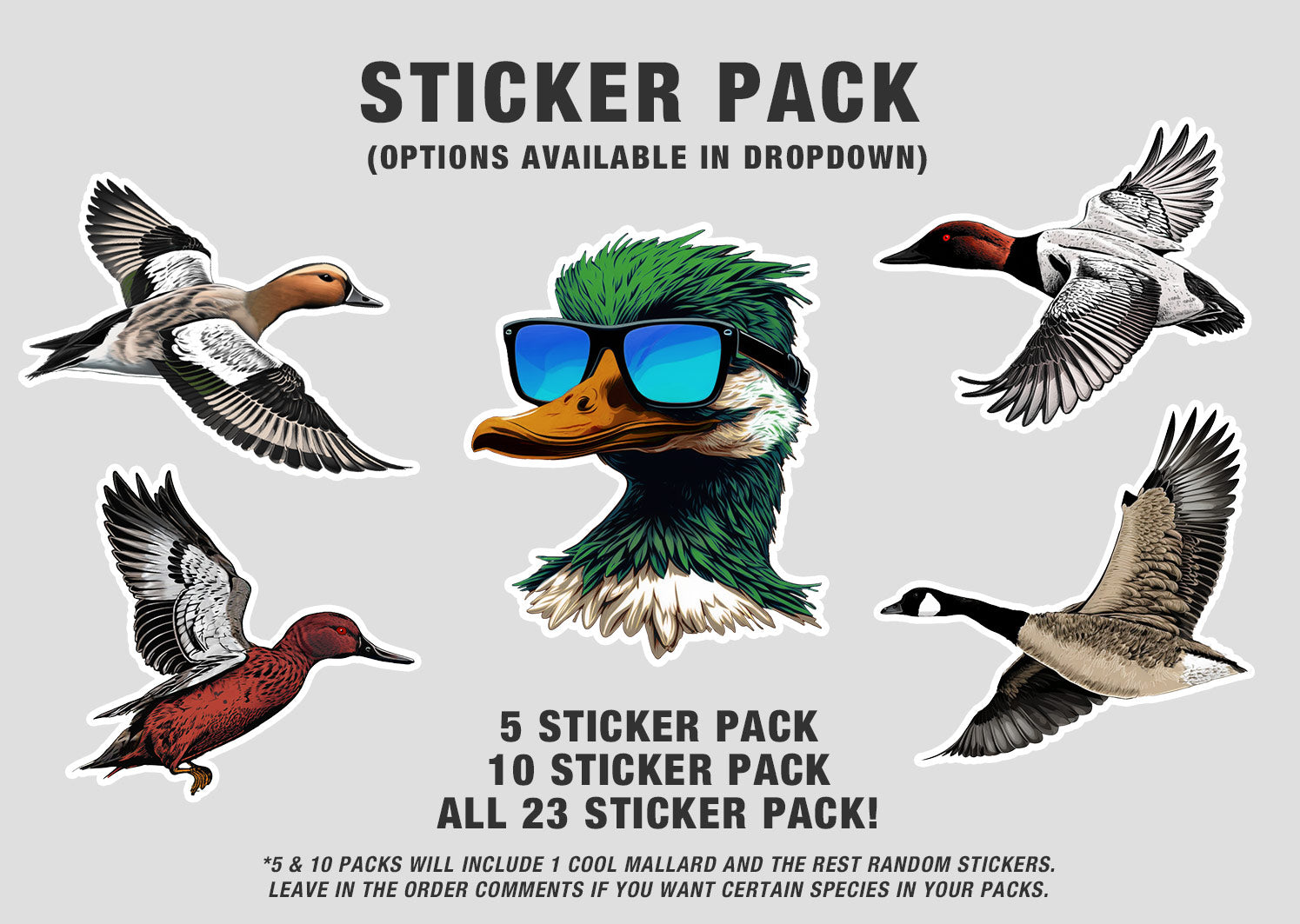 Duck Decals