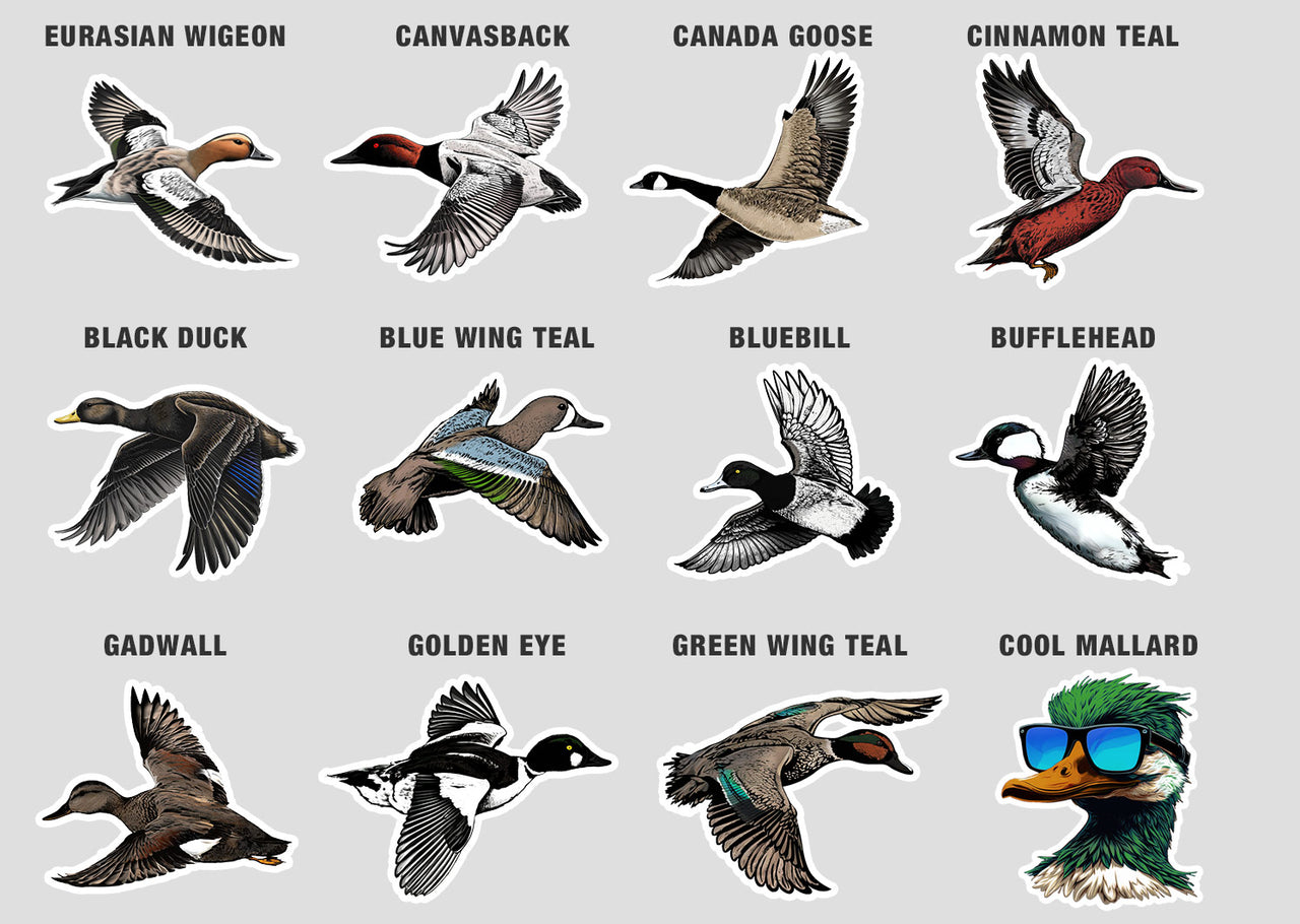 Duck Duck Boom Card Game