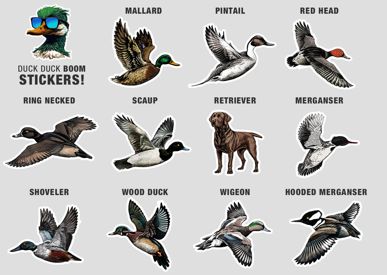 Duck Duck Boom Card Game