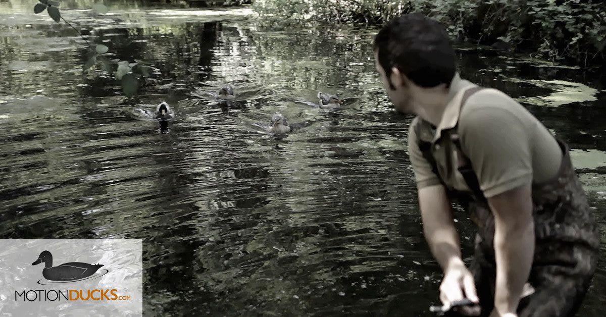Decoy Spreader System