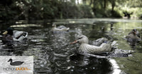 Decoy Spreader System